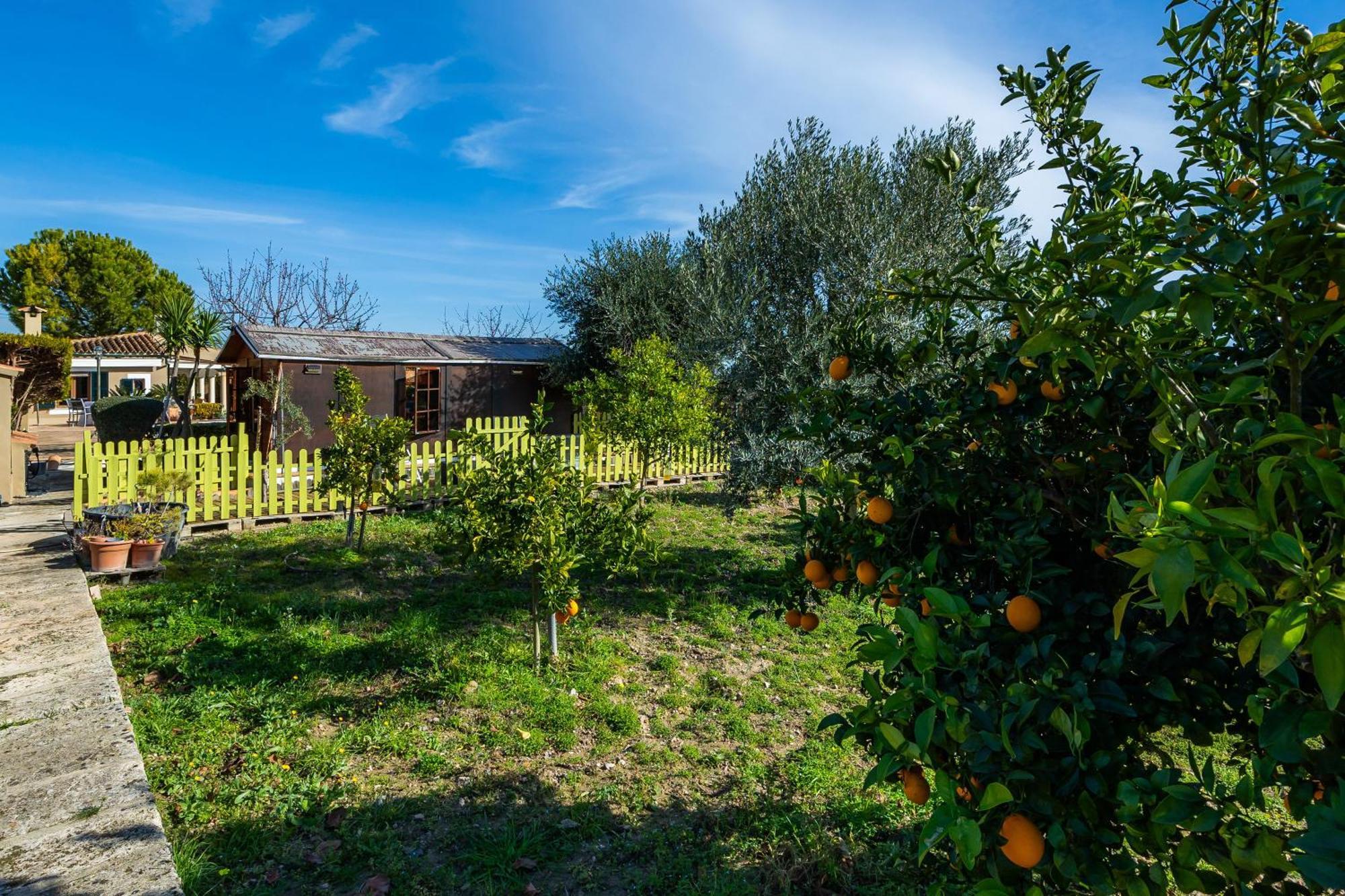 Finca Son Macia Selva  Exteriör bild